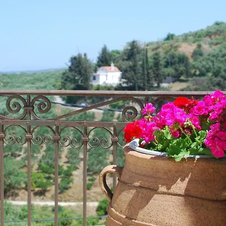 Olive Ferienhaus